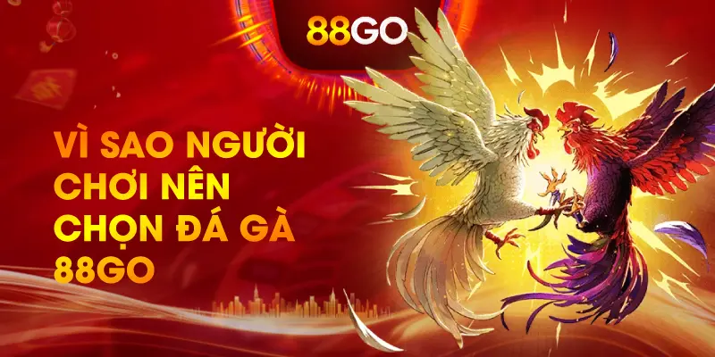 Vì Sao Người Chơi Nên Chọn Đá Gà 88GO